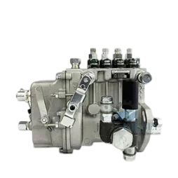 Weifu Fuel Pump BHF4PL080040ct